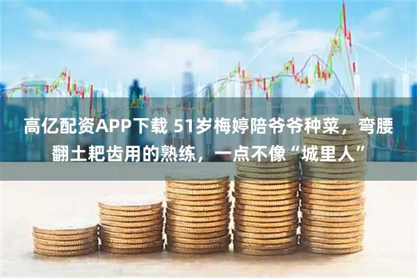 高亿配资APP下载 51岁梅婷陪爷爷种菜，弯腰翻土耙齿用的熟练，一点不像“城里人”
