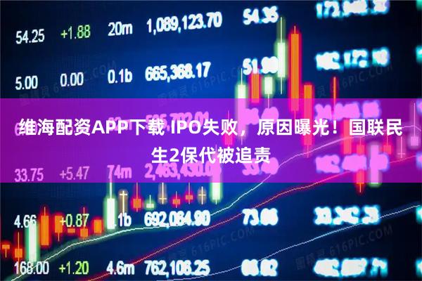 维海配资APP下载 IPO失败，原因曝光！国联民生2保代被追责