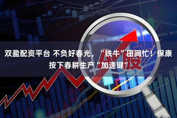 双盈配资平台 不负好春光，“铁牛”田间忙！保康按下春耕生产“加速键”