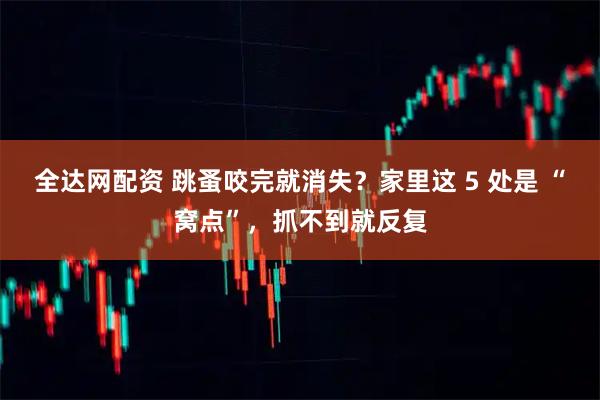 全达网配资 跳蚤咬完就消失？家里这 5 处是 “窝点”，抓不到就反复