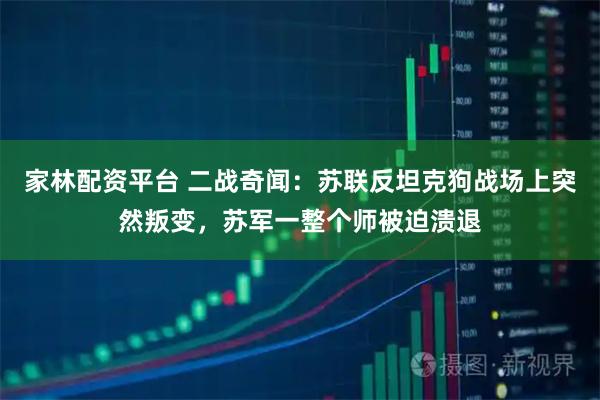家林配资平台 二战奇闻：苏联反坦克狗战场上突然叛变，苏军一整个师被迫溃退